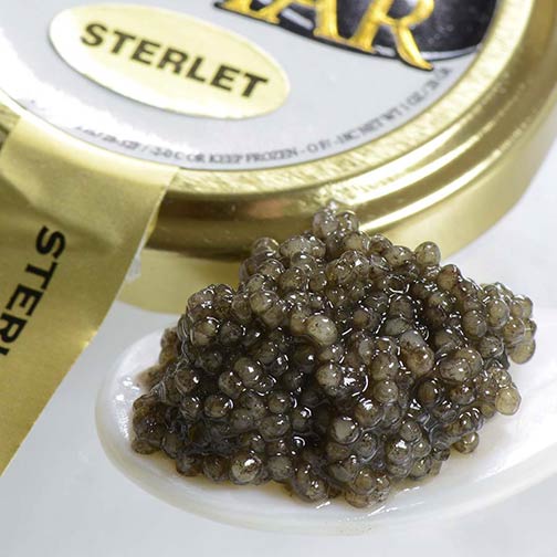 Sterlet Caviar, Malossol, Farm Raised Buy Caviar Online