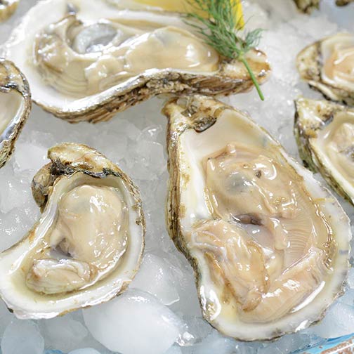James River Oysters