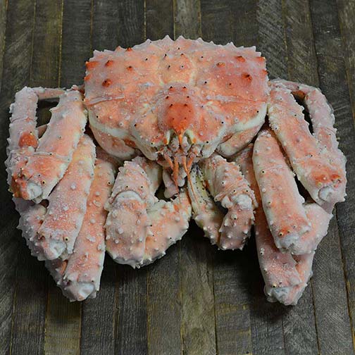 Wild King Crab - Whole Photo [1]