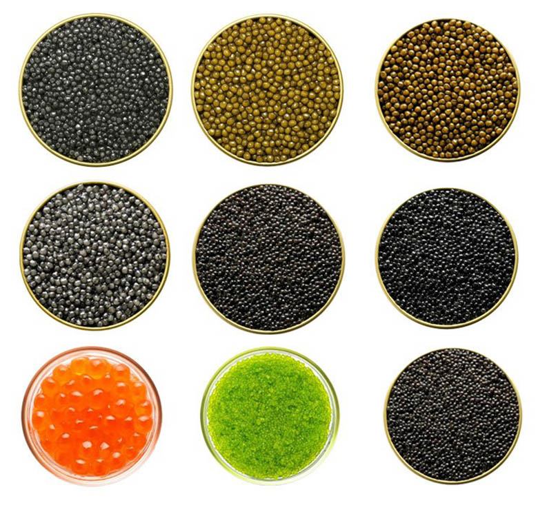 Different types of caviar: black, red, orange and green, photo by Gourmet Food Store