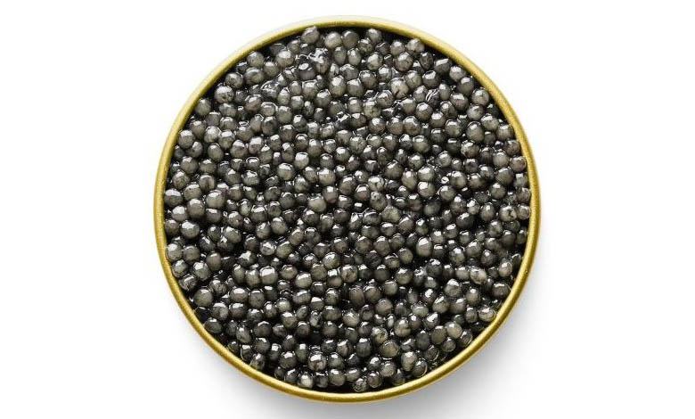 Beluga srutgeon black caviar in a can, photo by Gourmet Food Store