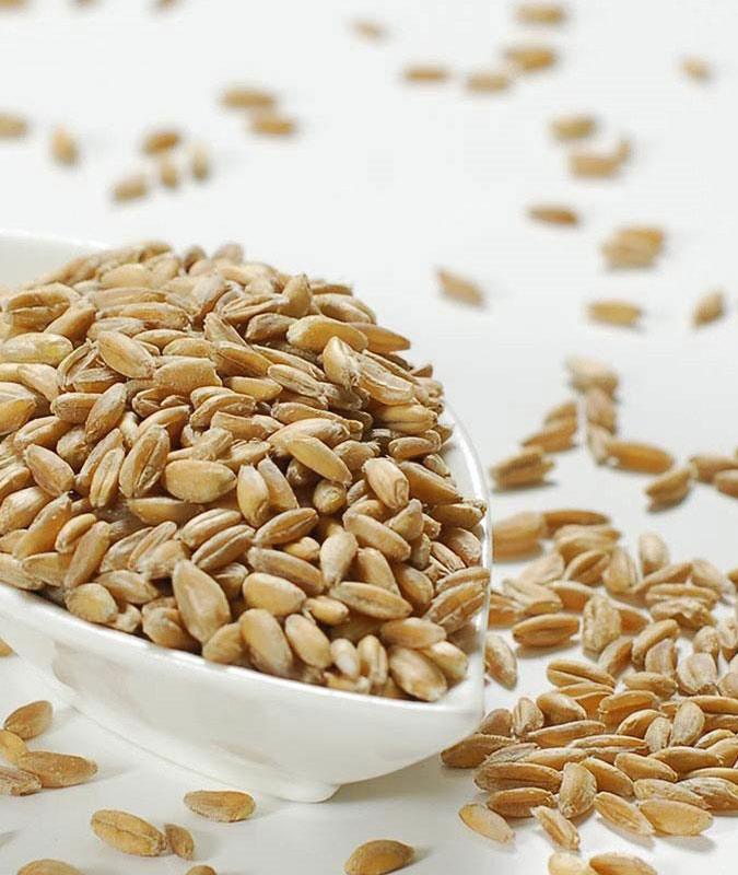 ancient grains: farro