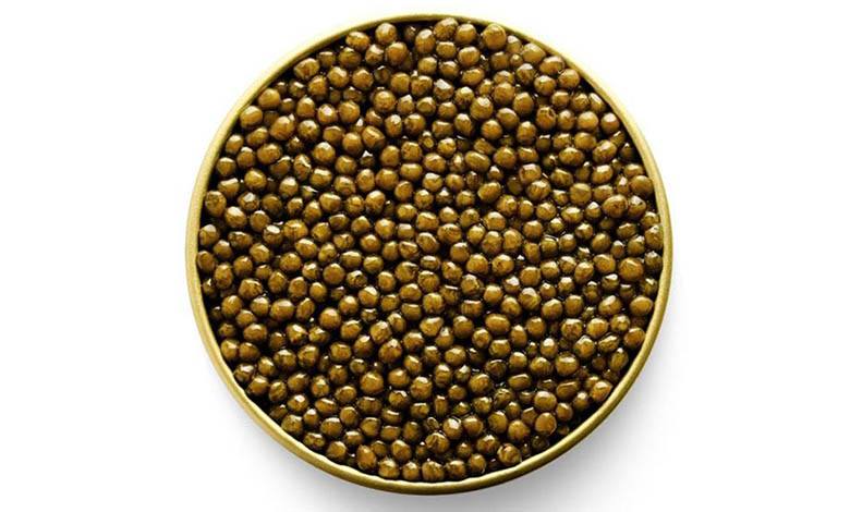 Kaluga sturgeon golden caviar in a can, photo by Gourmet Food Store