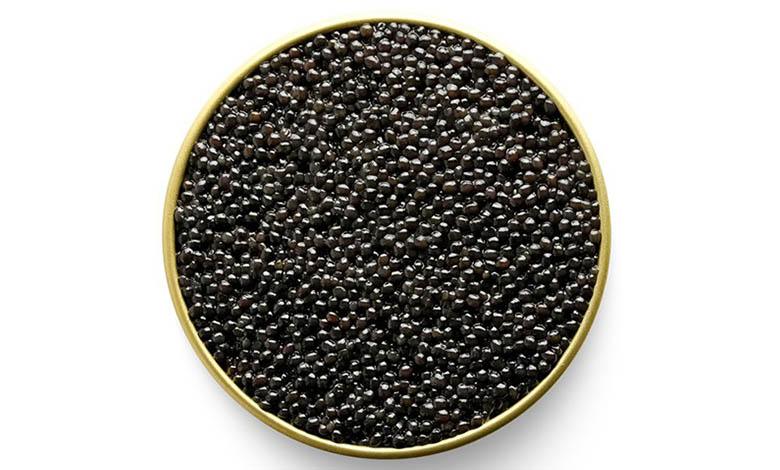 Paddlefish black caviar in a can, photo by Gourmet Food Store