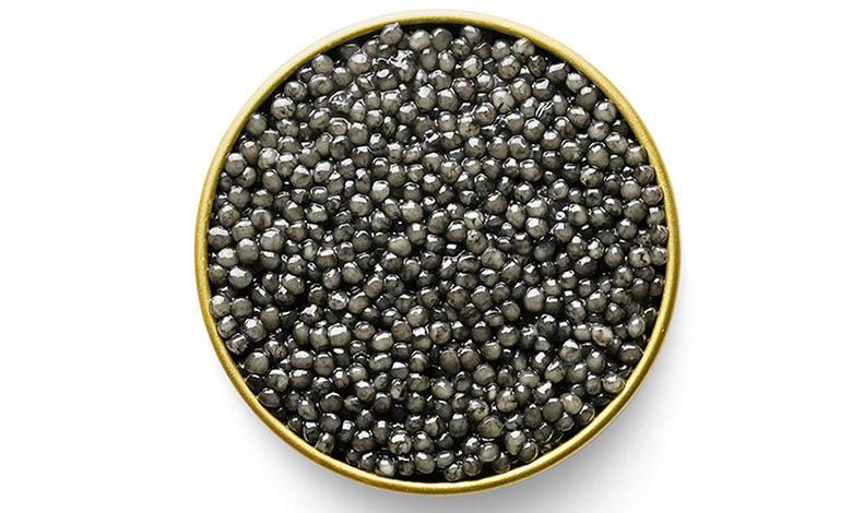 Sevruga sturgeon black caviar in a can, photo by Gourmet Food Store