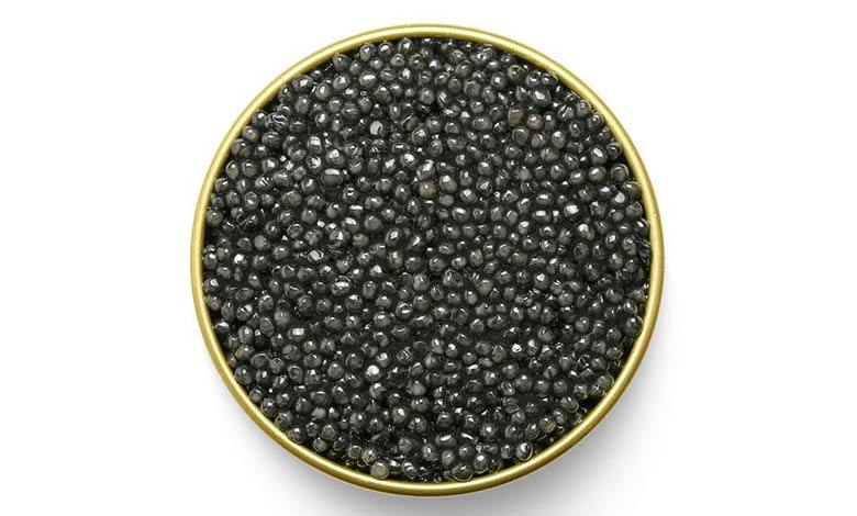 Sterlet sturgeon black caviar, photo by Gourmet Food Store