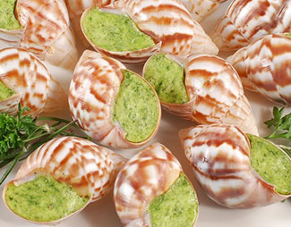 Escargot