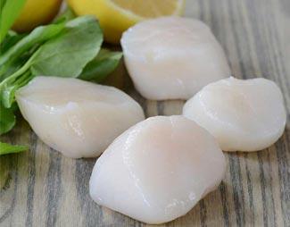 Dry Sea Scallops