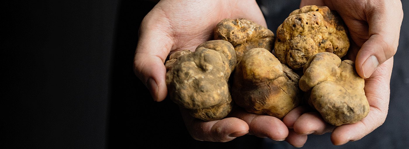 fresh truffles