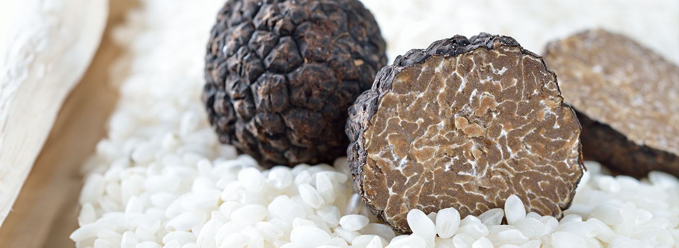 view of delicious truffles