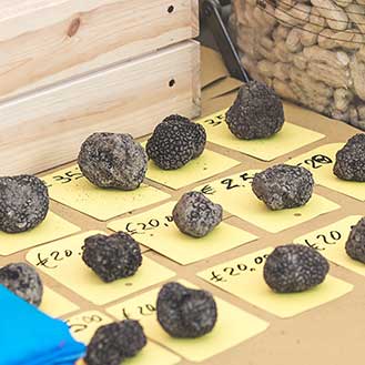 Buying Truffles