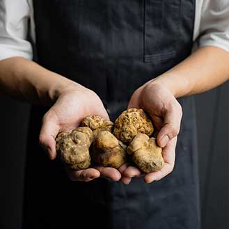 Cooking With Truffles