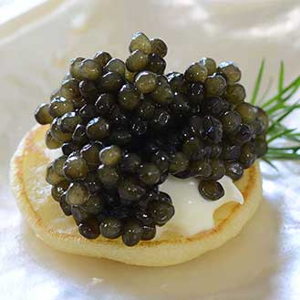 Beluga Caviar – Attilus Caviar