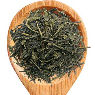 Tea Forte Sencha Green Tea Infusers