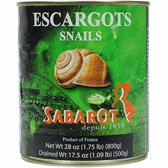 Escargot Helix Extra Large in Water