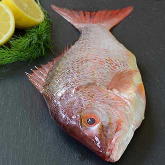 The Best Tasting Fish