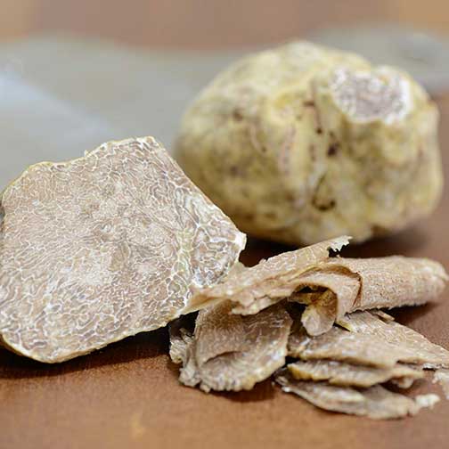 Fresh White Truffles For Sale | Gourmet Italian Alba Truffle