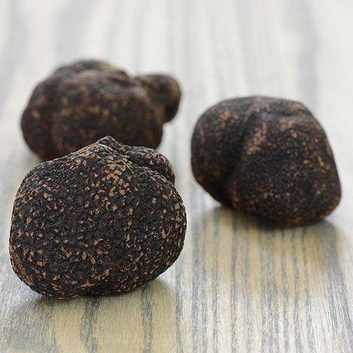 Australian Fresh Black Winter Truffles Photo [1]