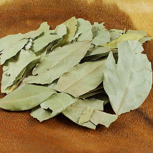 Bay Leaves Photo [1]