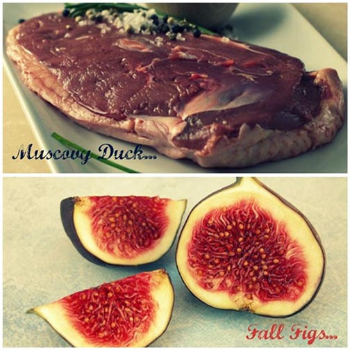 Duck Breast Recipe With Wine And Figs Photo [1]