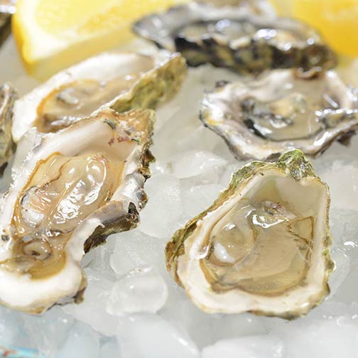 Drunken Kiss Oysters Photo [1]