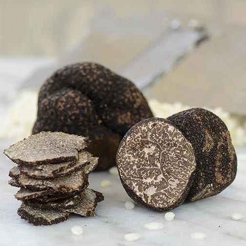 Fresh Black Winter Truffles Photo [1]