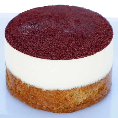 Tiramisu Photo [1]