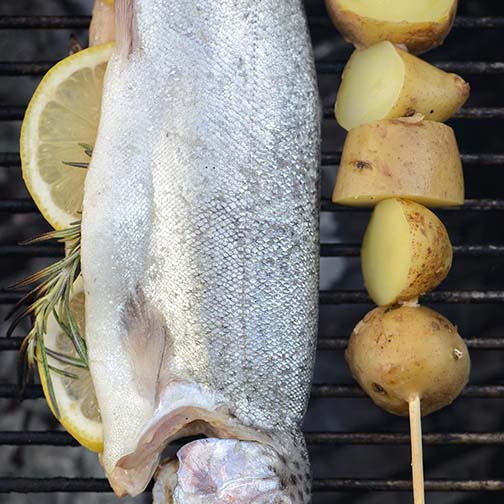 Grilled Trout With Salsa Verde Sauce Recipe Photo [1]