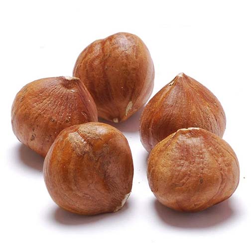 Hazelnuts, Whole (Filberts) Photo [1]