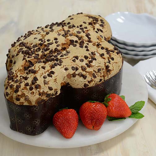 Italian Colomba Cake with Chocolate Photo [1]