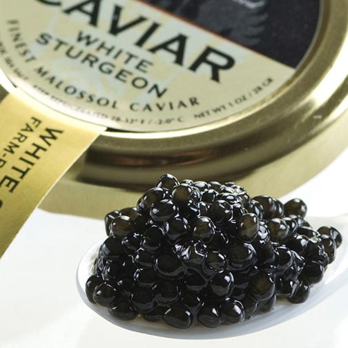 American Osetra White Sturgeon Caviar - Malossol, Farm Raised Photo [1]
