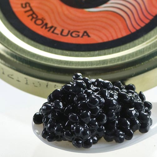 Stromluga Herring Caviar Photo [1]