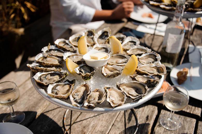 Oyster Nutrition Photo [1]