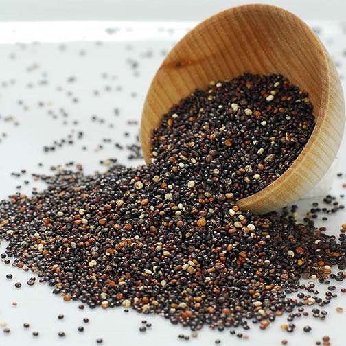 Quinoa - Black Photo [1]