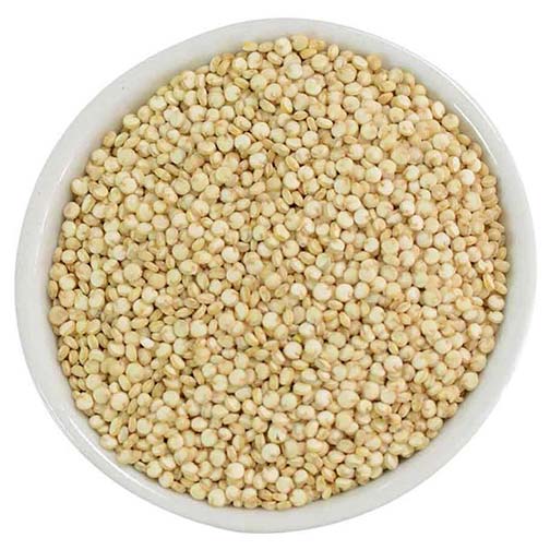 Quinoa - Organic Photo [1]
