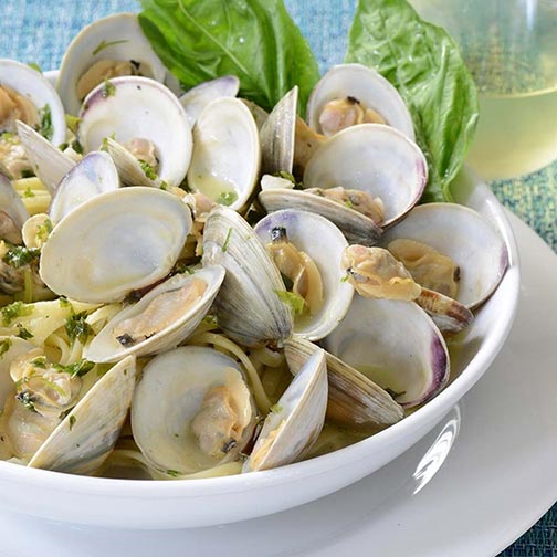 Littleneck Clams Photo [1]