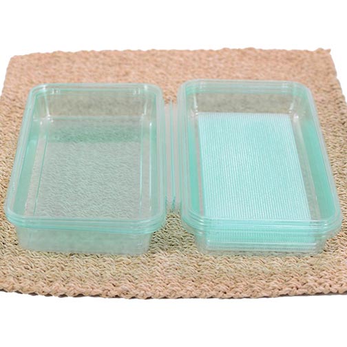 Transparent Lunch Box Container Photo [1]