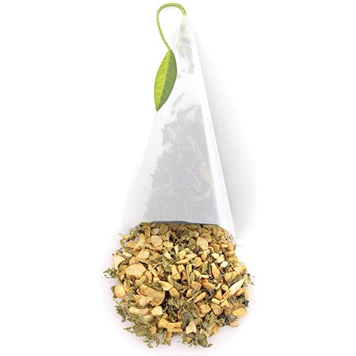 Tea Forte Ginger Herbal Tea Infusers Photo [1]