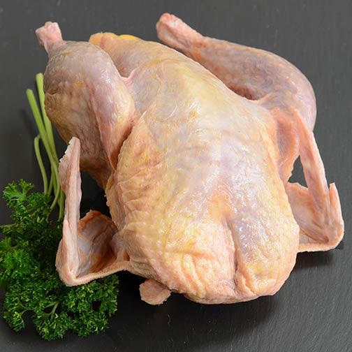 Pheasant, Whole with Giblets Photo [1]
