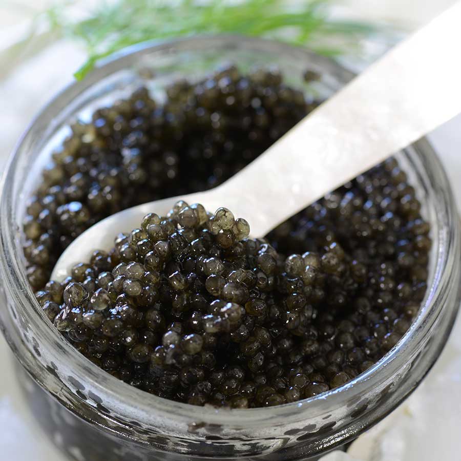 Emperior Sevruga Caviar - Malossol, Farm Raised Photo [4]