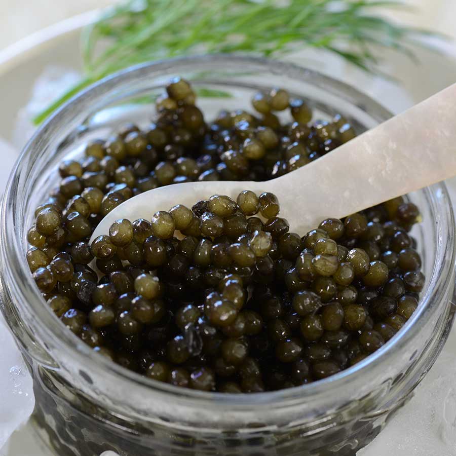 Emperior Kaluga Sturgeon Caviar Photo [4]
