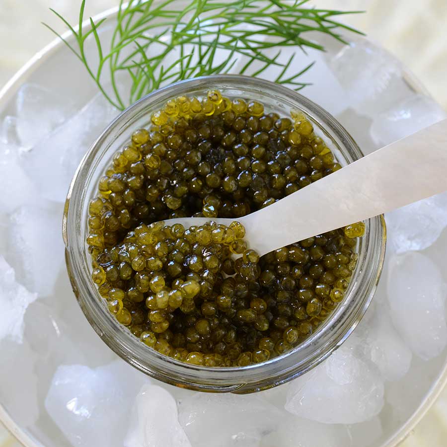 Emperior Osetra Karat Russian Caviar Amber Photo [3]