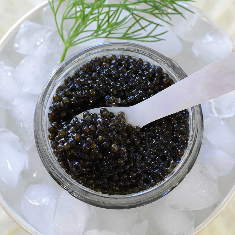 Emperior Osetra Karat Russian Caviar - Black Photo [3]
