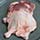 Moulard Duck Legs, Frozen - Pack of 4 Photo [2]