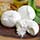 Truffle Burrata Photo [1]